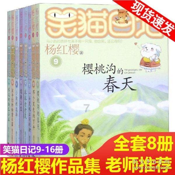 遗落的盒子